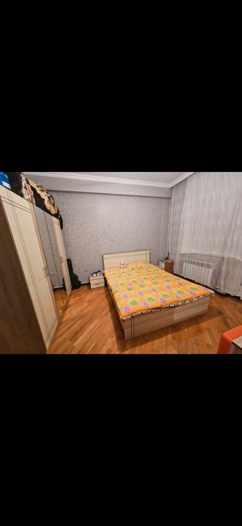 Image1