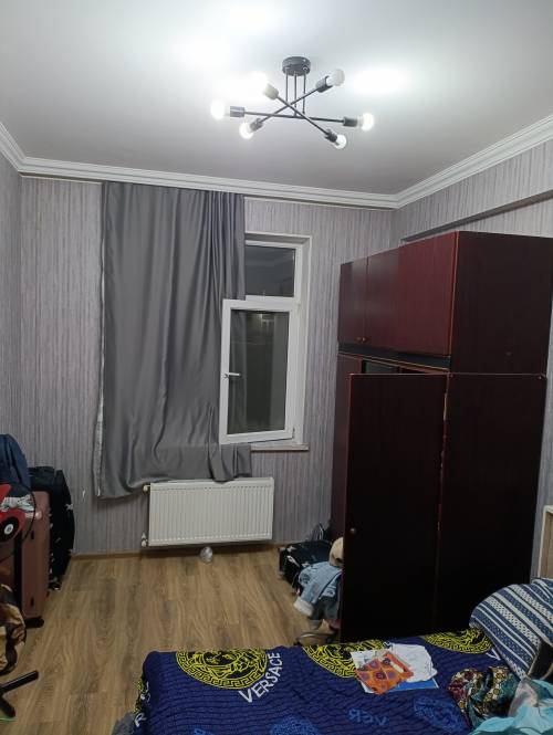Image3
