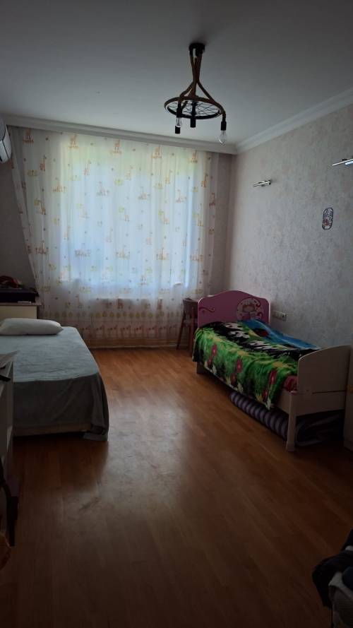Image1