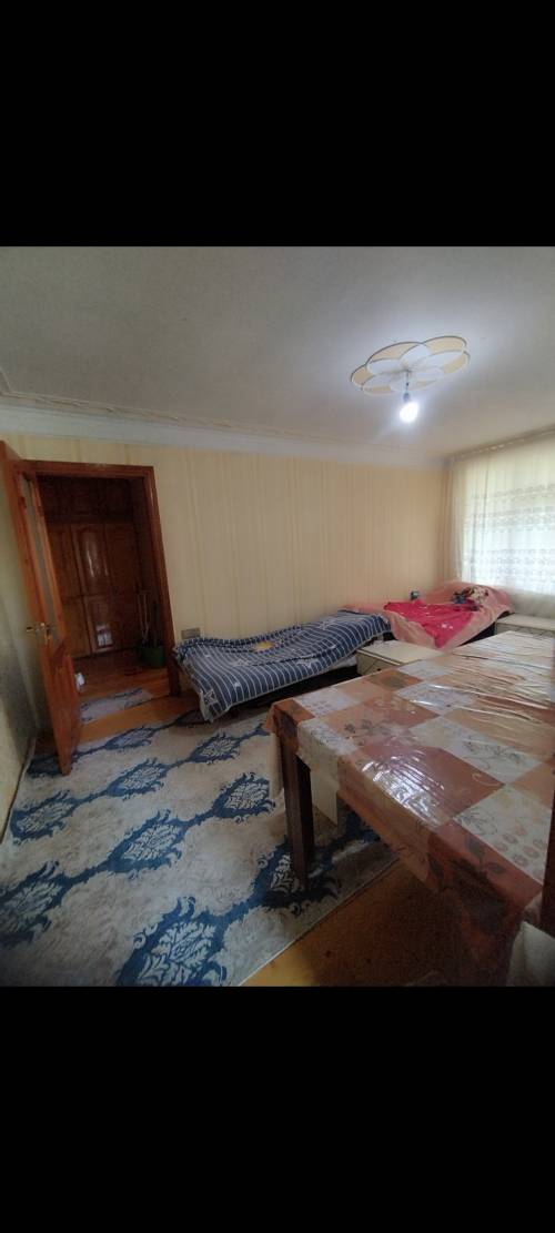 Image3