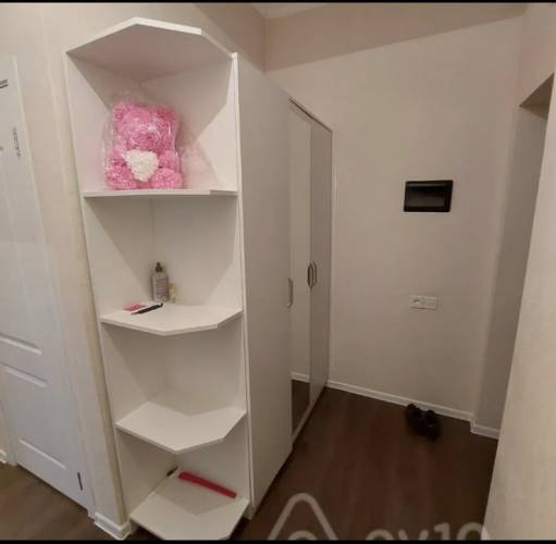 Image1