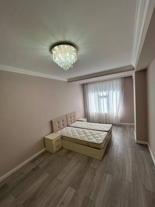 Image1