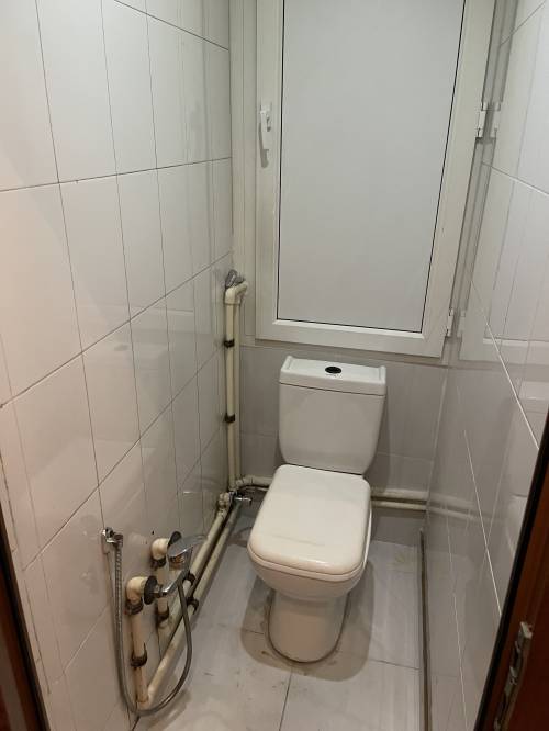 Image1