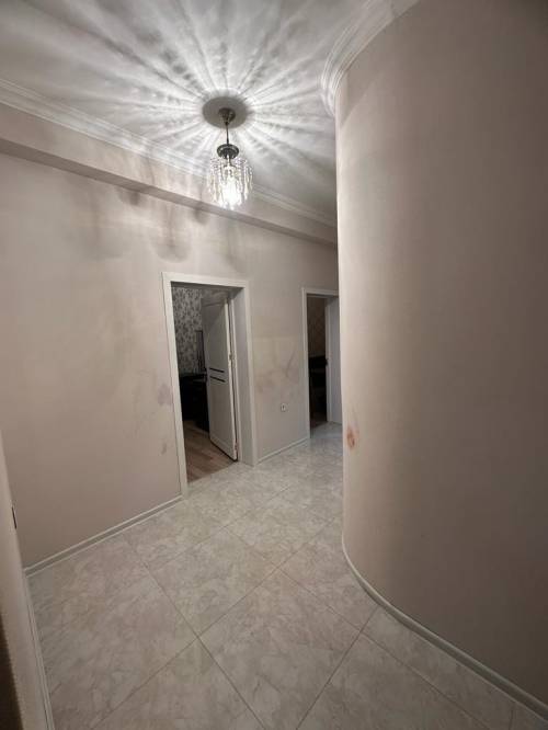 Image1