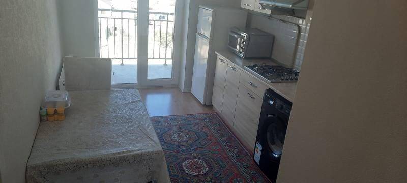 Image1