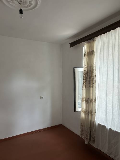 Image1