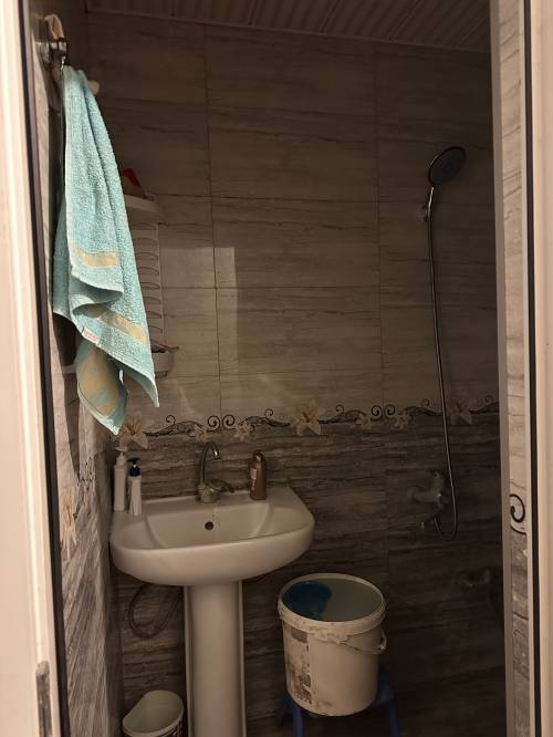 Image1