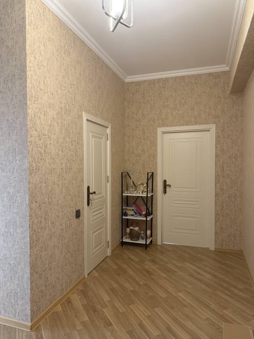 Image1