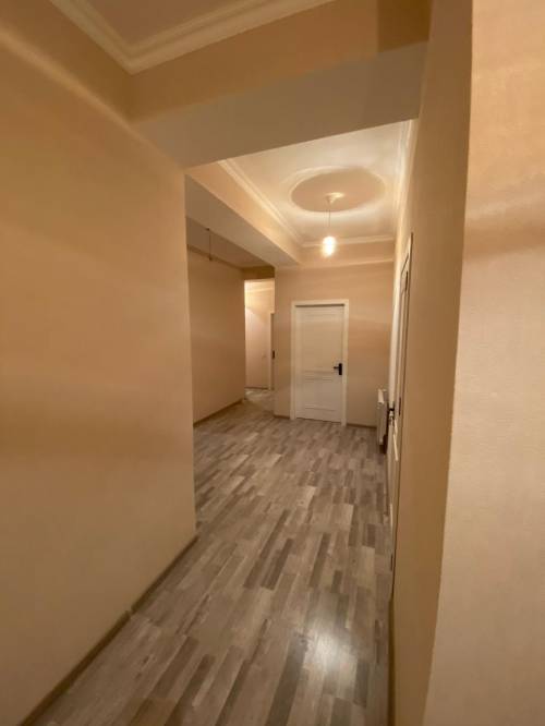 Image3