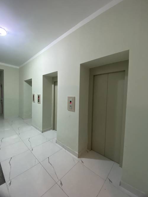 Image1