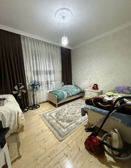 Image1