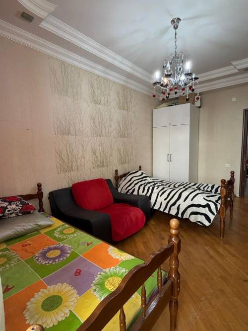 Image3